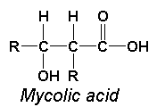 Structure of Mycolic Acid